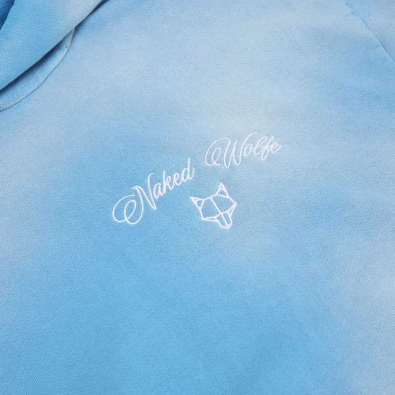 Sudadera con Capucha Naked Wolfe Signature Vintage Hombre Azules | MEXICO 572681IGR